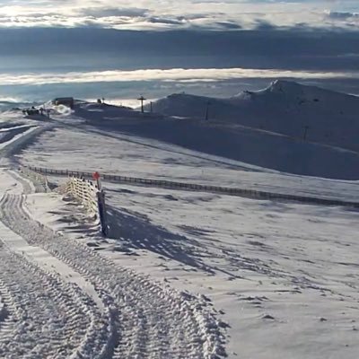 MA_oracle's profile picture. 