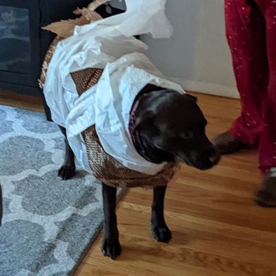 smeyer1972's profile picture. 