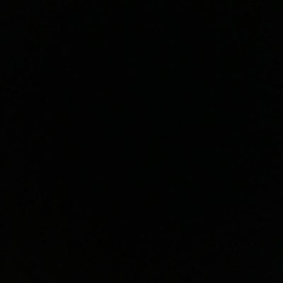 leocapponi's profile picture. 