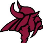 Northgate High Softball(@NGHSVIKINGSB) 's Twitter Profile Photo