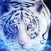 رضا وامل (@rdawaml) Twitter profile photo رضا وامل (@rdawaml) Twitter profile photo