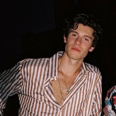 shawnmyidol8's profile picture. ~HANDWRITTEN~ (supporting since 2016) AND TAKE A PIECE OF MY ❤️AND MAKE IT ALL YOUR OWN, SO WHEN WE ARE APART, YOULL NEVER BE ALONE.