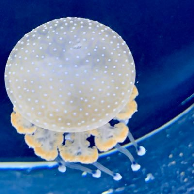 Lclaelf's profile picture. wine music & laughs