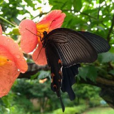 polyfix4's profile picture. 