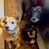 Rick Mantz (@rickmantz) 's Twitter Profile