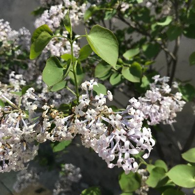 anahekehome's profile picture. New technology follower.
All category trader(forex \ futures \ commodities \ stocks \ crypto).
Health learning.
Personly growth learning.