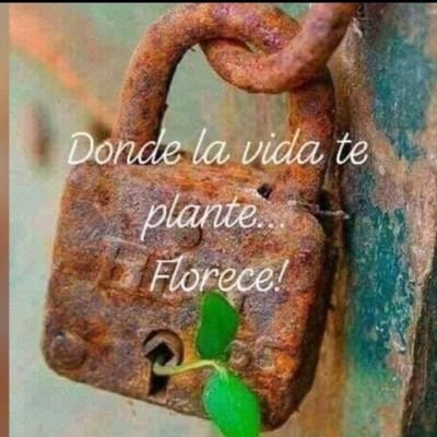 Hola soy una curiosa de Twitter... solo vengo a ver la Transformación de 🇲🇽