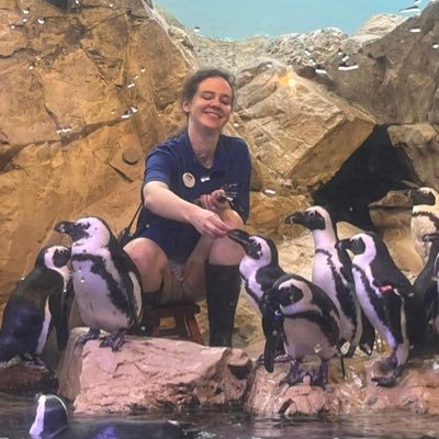 foxcub_Kat's profile picture. Eternally tired and a lover of animals.
