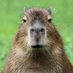 æ (@doorbeii_) Twitter profile photo æ (@doorbeii_) Twitter profile photo