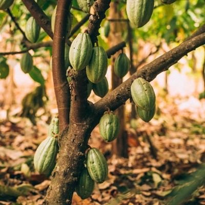 mdeusb's profile picture. Produtor Rural.