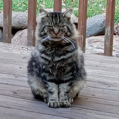 kmcd357's profile picture. 