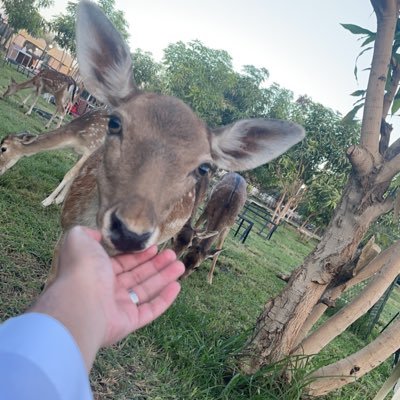 R__BQ's profile picture. 