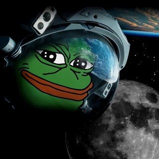 primemeor's profile picture. Exploring