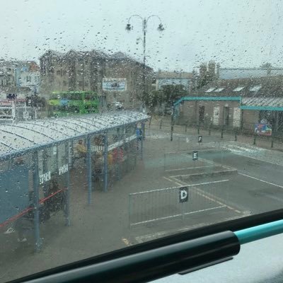 dianne49's profile picture. Lived long enough to find my political views are now considered far-left.