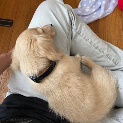 punman0418's profile picture. 競馬で帯を目指す！