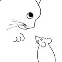 John Stringer - @montycornwall - Twitter