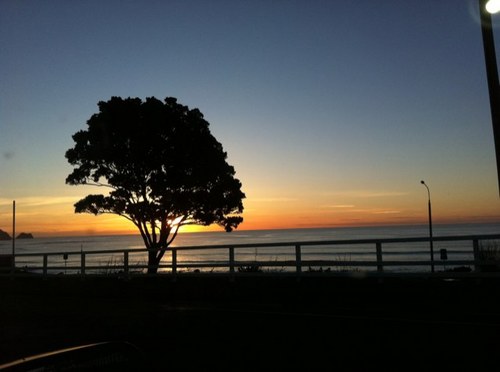 Melliejay74's profile picture. 