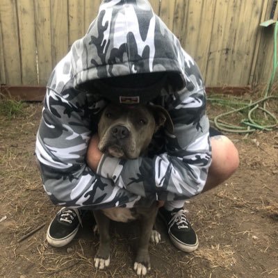 frankiepool88's profile picture. 