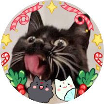 21+ / Currently in danmei hell / Bingpup thoughts 24-7 / I like cats 🐱🐱 / pfp: @CuriousZelda 🖤🤍