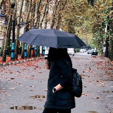 smallblackfish0's profile picture. 