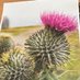 NHS Lothian Bereavement Service (@nhs_bereavement) Twitter profile photo NHS Lothian Bereavement Service (@nhs_bereavement) Twitter profile photo