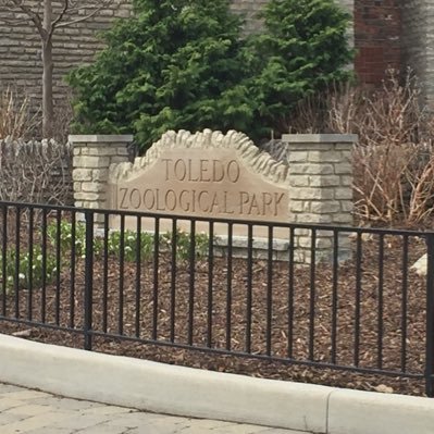 FairyLove299's profile picture. 