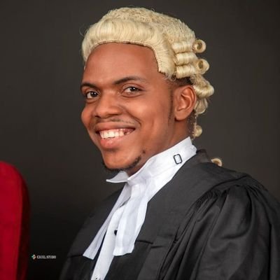 Lawyer
Chartered Mediator and Conciliator
Erstwhile Faculty of Law President (OOU)
Erstwhile Governor-General(OOU)
People's Advocate
Law Tutor.