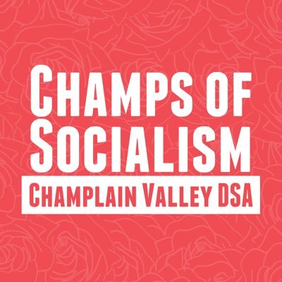@ChampValleyDSA Slates for Elected Office #ChampsOfSocialism