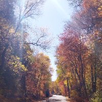Dani (@dani24356076) 's Twitter Profile Photo Dani (@dani24356076) 's Twitter Profile Photo
