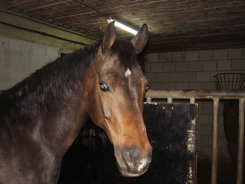 Inbraakjhuu.
Noorie ik hou van jou wij zijn nooit te breken ;o
wjnmk Xxxx #jeweetwelwie of toch niet??
noujha ik ben het Ariane xx ;p