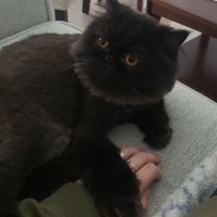 sammy (@wittybtchwtch) 's Twitter Profile