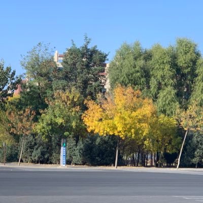 xzy522802's profile picture. 站在墙头透透气