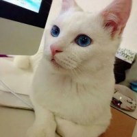 kurikuri (@2022kurikuri) 's Twitter Profile