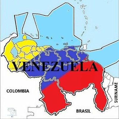 Socialista Revolucionario ,Antiimperialista y Chavista