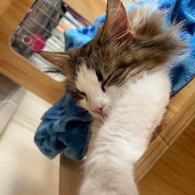みっくさんのプロフィール画像