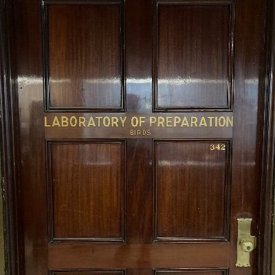 inbox256's profile picture. 