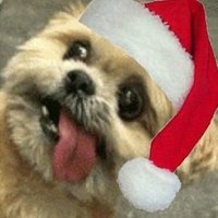 nada nao (@rick_rlt) 's Twitter Profile