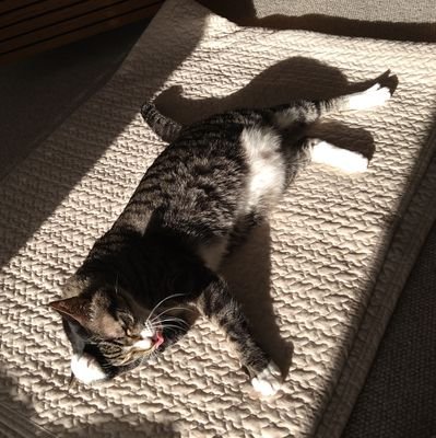 gthrk202's profile picture. 