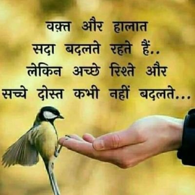 VikashT61995455's profile picture. In work