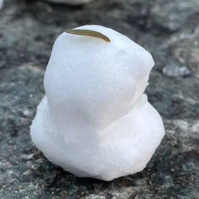 지나さんのプロフィール画像