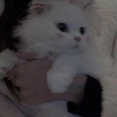 loreさんのプロフィール画像