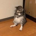 Bentley Evans - @grumpycat1235 - Twitter