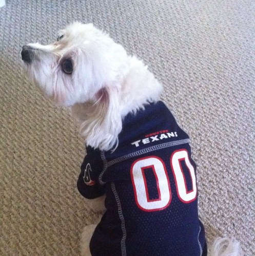 vwf5207's profile picture. 