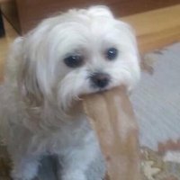 Tokoissick (@tokoissickk) 's Twitter Profile Photo Tokoissick (@tokoissickk) 's Twitter Profile Photo