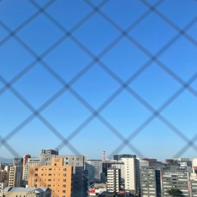 Vaundy / VAWS / 藤井風 / マカロニえんぴつ / 山口 / 服と邦ロ