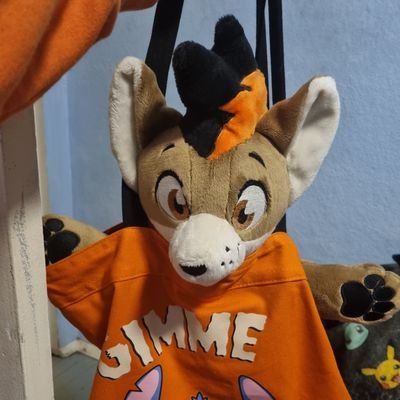 DaisyDogarts's profile picture. Just a simple husky going on adventures