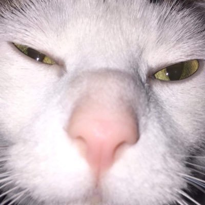 Anitsuji's profile picture. I game. 🙃