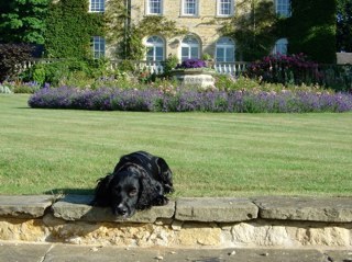 MaryHambro's profile picture. 