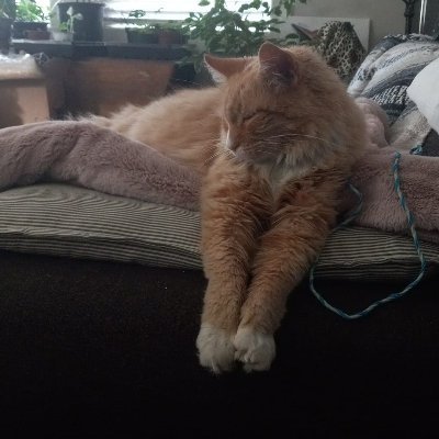 mewzik9's profile picture. thy enemy speaks with twists. Libertarian, I give up on Canadian Political theatre https://t.co/IUugonMSKw
I block followers without visible walls