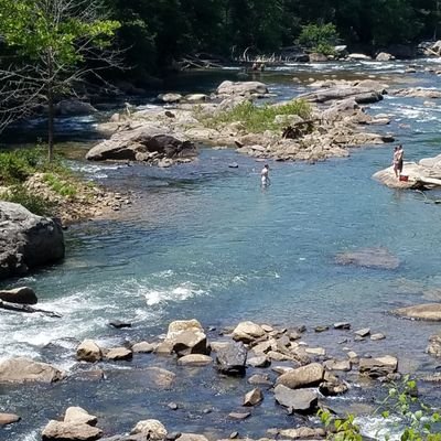 Please wake me, when he is locked up!Lives in WV. Born a Ga. Peach ⛺🌊🐝🌈🌊🏕🏞🏳️‍🌈